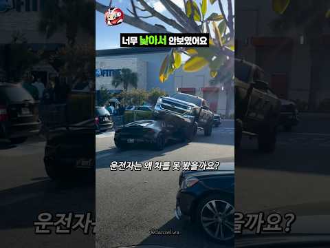 너무 낮아서 안보였어요 thumbnail