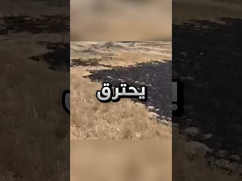 رفضت أزضه تحترق لهذا السبب !! #youtubeshorts thumbnail