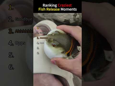 Ranking Craziest Fish Release Moments #asmr #snow #funny #odlysatisfying #ice #satisfying #fyp thumbnail