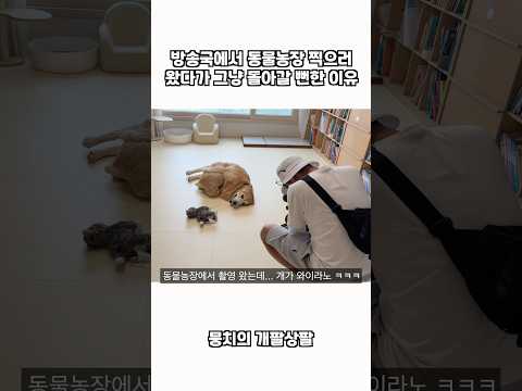 방송국에서 동물농장 찍으러 왔다가 그냥 돌아갈 뻔한 이유 ㅋㅋㅋ thumbnail
