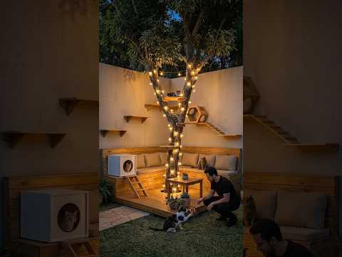 DIY Ultimate Backyard Cat Paradise ? From Day to Night Transformation thumbnail