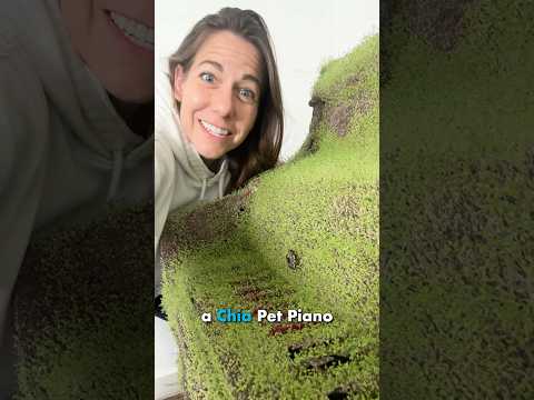 Chia Pet Piano is GREEN! thumbnail