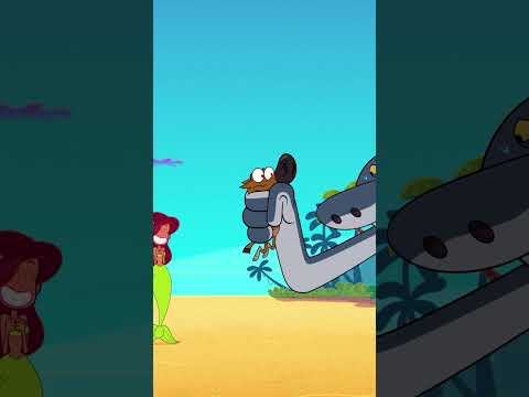 O gato escondido #Zig & Sharko | Desenho animado para thumbnail