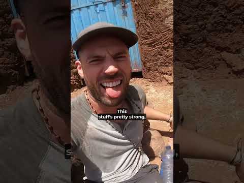 Crewing RAW TABACCO with Hamer Tribe thumbnail