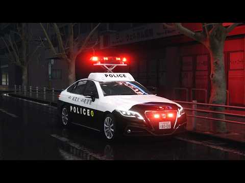 バンパーかっこよ#shorts thumbnail