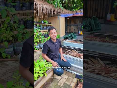 POT BAHAN GALVANIS BAPACKAZMAN thumbnail