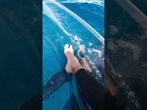 Transparent Kayak In Deep Water Hits Different.. thumbnail