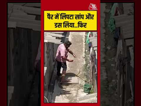 Shorts | पैर में लिपटा सांप और डस लिया..फिर | #surat #viralvideo #trending thumbnail