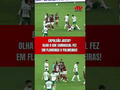 EXPULSÃO EM FLAMENGO X PALMEIRAS! OLHA POR QUE CARRASCAL FOI EXPULSO! ARBITRAGEM ACERTOU? thumbnail