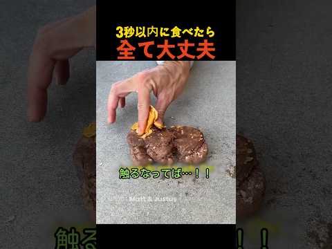 3秒以内に食べたら全て大丈夫 thumbnail
