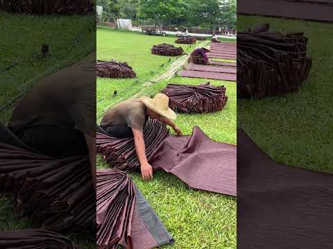 Collecting Xiangyun silk after the dyeing process ✨🧵 thumbnail
