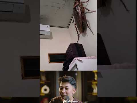 se rt kabur ini mah thumbnail