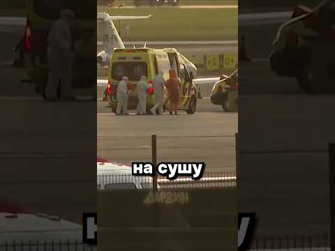 Как появился Хантавирус? thumbnail
