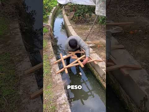 Este Granjero Hizo Un Puente Único En El Mundo 🤯 thumbnail