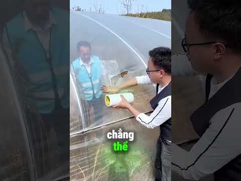 Tuyệt Chiêu Trị Thằng Con Nghịch Ngợm Chuyên Xé Bạt Nhựa Của Bố 😅 thumbnail