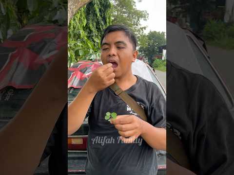 Gawat Ayah Makan Buah Tinta ‼️ thumbnail
