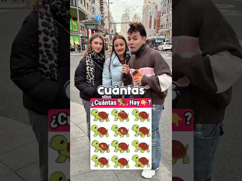 Cuantas TORTUGAS hay en esta imagen?? thumbnail