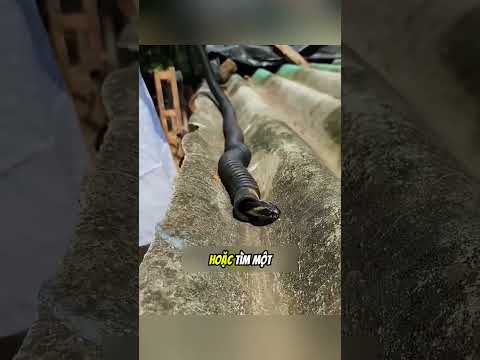 Hãy cẩn thận khi sử dụng đường ống nước nhà bạn#daochieu #shorts thumbnail