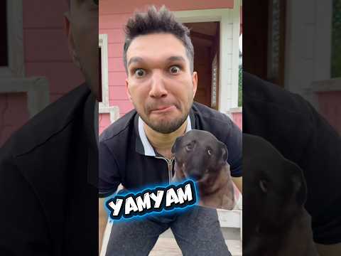 Erkeklerin vs kızların köpeklerine koyduğu isimler ￼ thumbnail