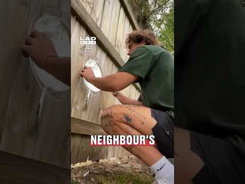 I couldn't wait to see my neighbour's dog use this 😅🐕  #pets #dogs #wholesome thumbnail