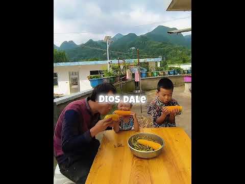Oró por su familia y el campo floreció 🌽🙏 thumbnail