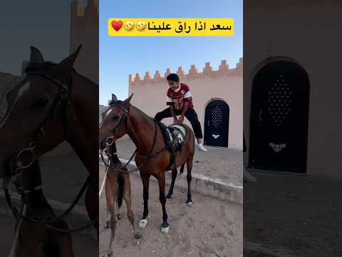 روقان سعد اذا طلع مع سمحه #shortvideo #خيل #اكسبلور #سعد_الخيال_الصغير thumbnail