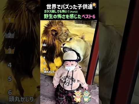 子供達も驚愕！動物園で野生の怖さを感じたベスト6 thumbnail