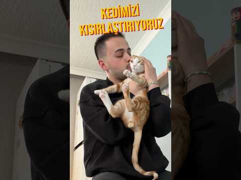 kedimizi kısırlaştırıyoruz thumbnail