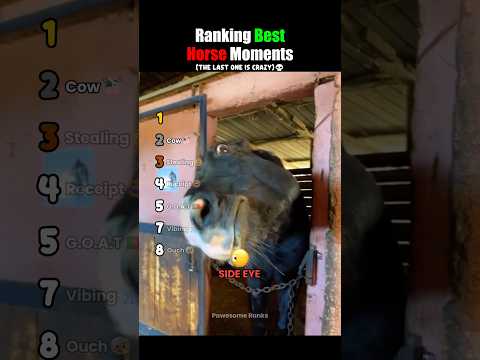 Ranking The Best Horse Moments #usa thumbnail