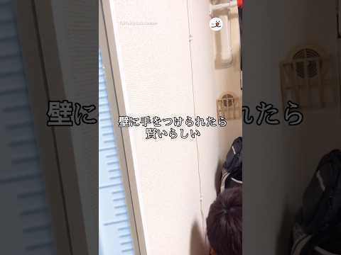 賢い猫は手をつくチャレンジ｜PECO thumbnail