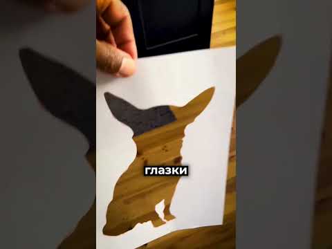 Он оживлял случайные узоры 👀 thumbnail