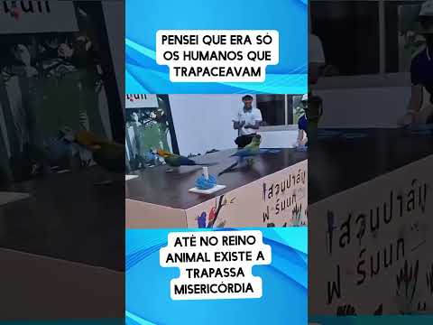 Tá roubando na prova eu sem saber gente veja thumbnail