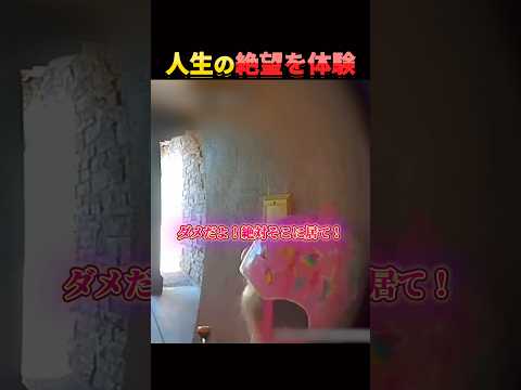 少女からのSOS。 thumbnail