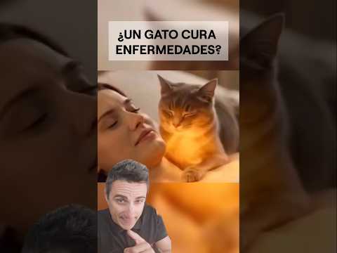¿Un gato cura enfermedades?.#supervivencia #curiosidades #sabiasque thumbnail