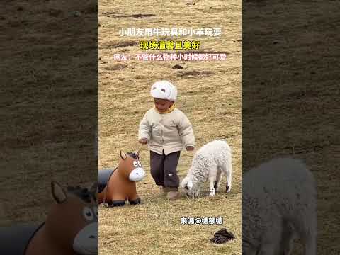 小家伙摆弄牛玩具和小羊玩耍，氛围感满满超暖心  #新闻 #共鸣 #大热门 thumbnail