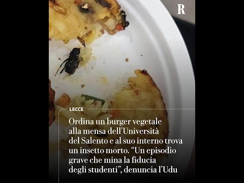 Ordina un burger vegetale alla mensa dell'Università e trova un insetto morto thumbnail