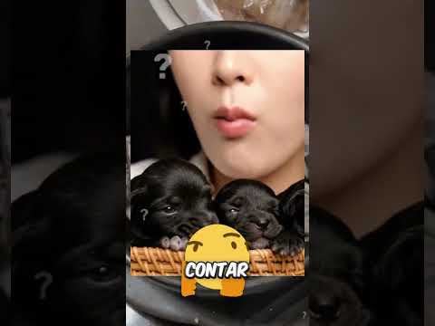 Comenzó el k drama más grande, en Corea ya no comerán perrito. thumbnail