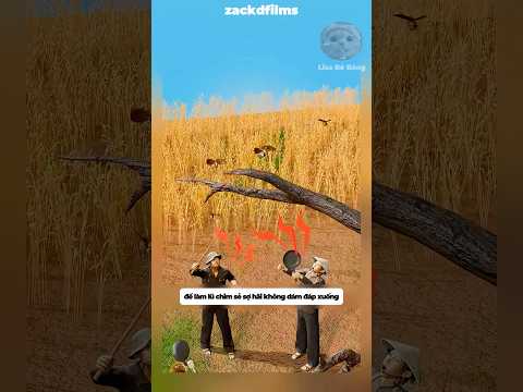 Dân làng đã đốt pháo và tạo tiếng động lớn để loài chim sẻ không đậu xuống #shorts #facts thumbnail