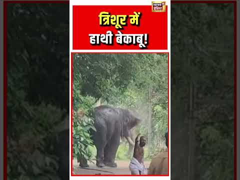 Elephant Viral Video | त्रिशूर में हाथी बेकाबू! #kerala #elephantvideo #viralshorts thumbnail