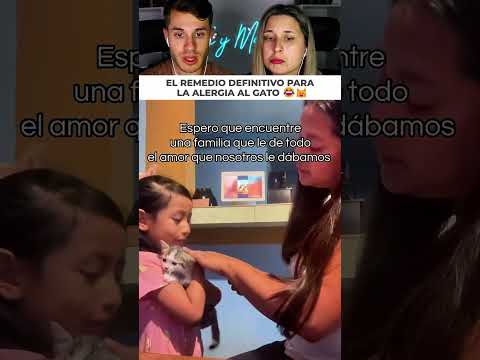 Tu mama prefiere quedarse con el gatito y te manda a la calle thumbnail