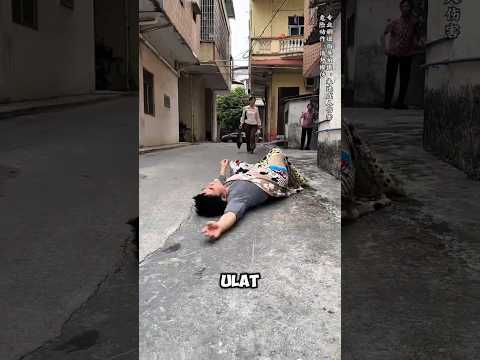 Pria ini bangun tidur langsung cari hp gaya ulat bulu? thumbnail