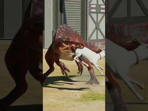 Wetland Carnivores Eating Good! thumbnail