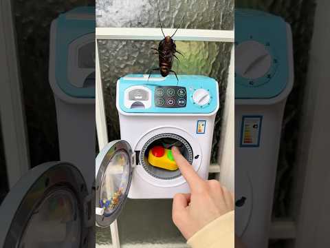 Washing Machine + Cute Doorbell 😭🪳 thumbnail
