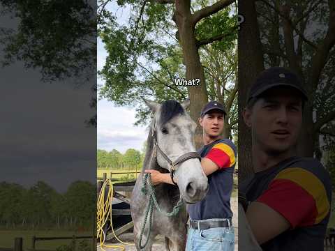 Do you like me or just my horse?😭 #equestrian #horsegirl #horses #horseriding #horse #pony thumbnail