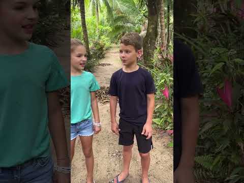 boom chicka boom #kidssong thumbnail