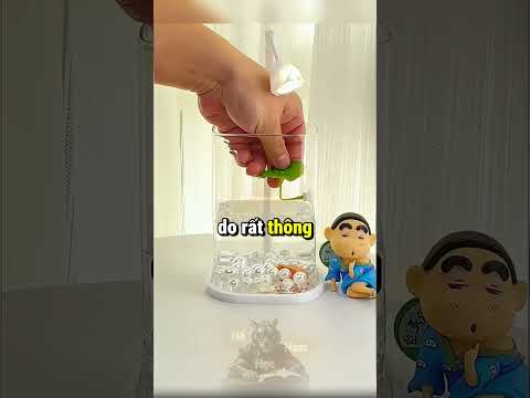 Cá Betta Đang Làm Trò Gì Thế Này?! 🤯 thumbnail