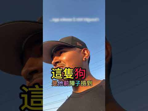 已經培養出感情的狗狗就那樣還回去了 thumbnail