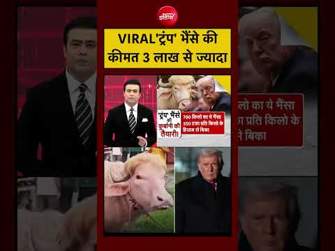 Syed Suhail | Bakrid | Eid al-Adha: Viral 'Trump’ भैंसे की कीमत जानिए इतनी है| #shorts #viral thumbnail