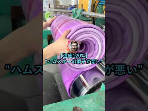 【道徳120%】ハムスターの調子が悪い【2ch面白いスレ】 thumbnail