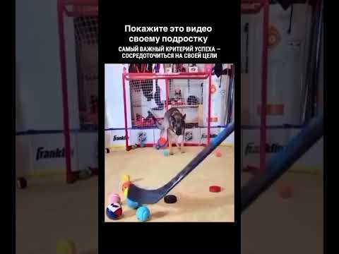 Покажите это видео своему подростку  Важный критерий успеха - сосредоточиться на своей цели thumbnail